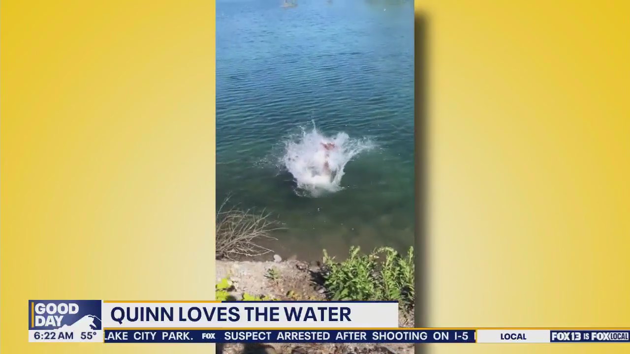 Pet Tricks for Friday, June 27