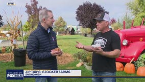 Zip Trips: Fall treats at Stocker Farms