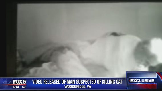 Woodbridge woman says surveillance camera captured neighbor beating her cat to death