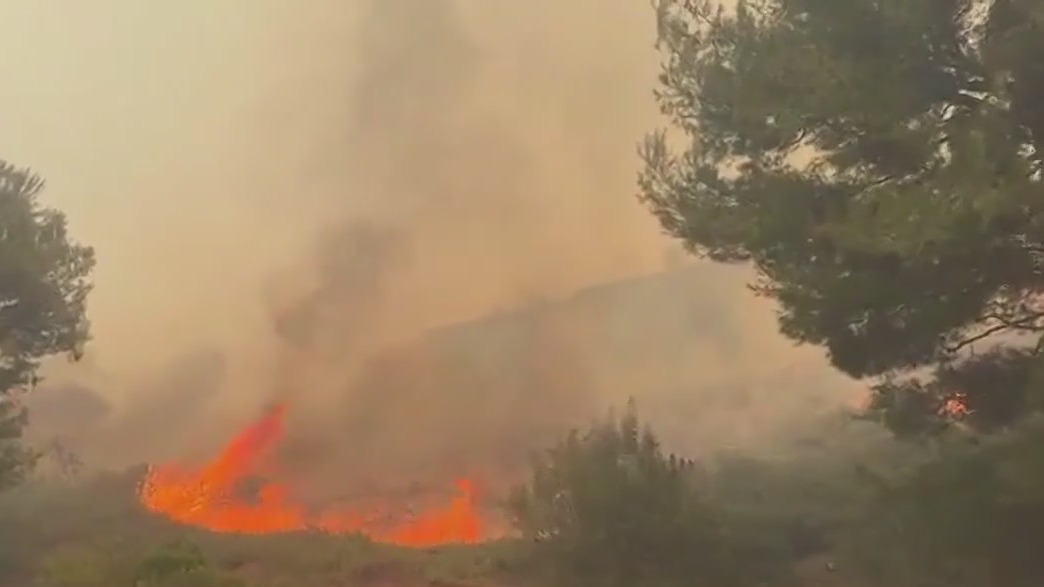 Pacific Palisades homes go up in flames