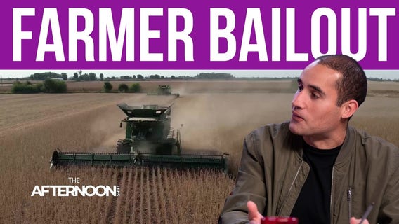 Minnesota farmers stand to benefit as White House unveils $12B aid, soybeans rebound