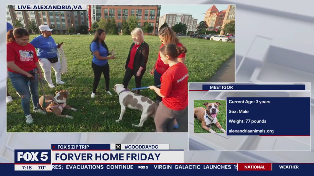 Forever Home Friday at Potomac Yard