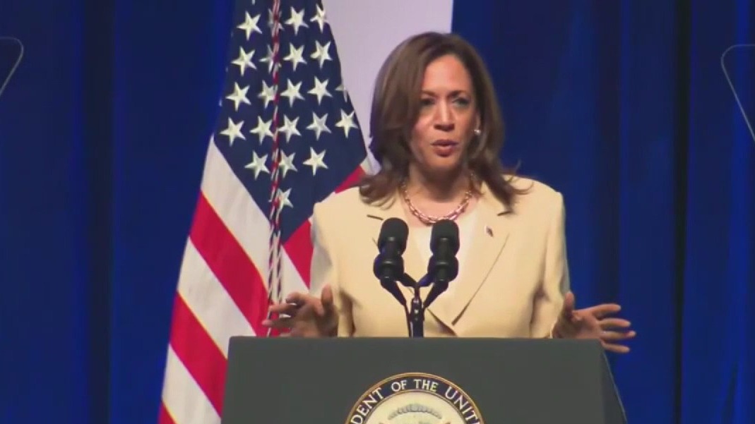 Examining the 2024 race: Harris vs Trump