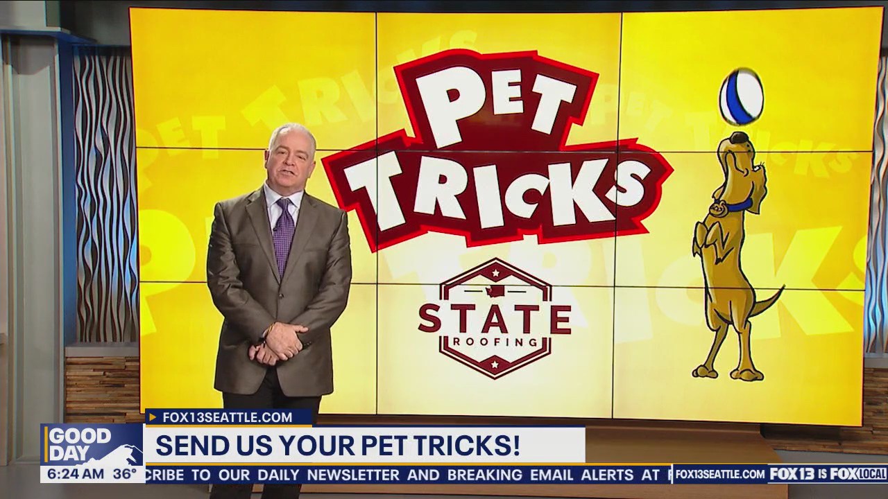 Pet Tricks for Friday, November 29