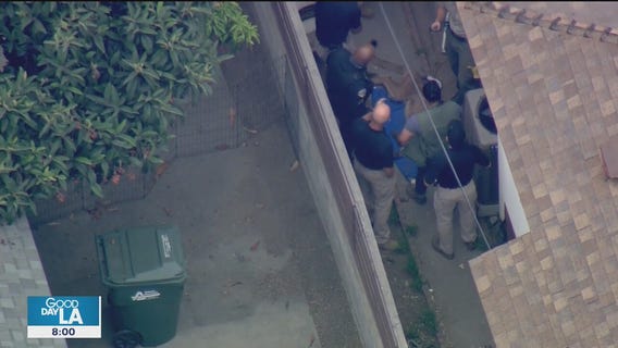 Mountain lion captured in Monrovia neighborhood