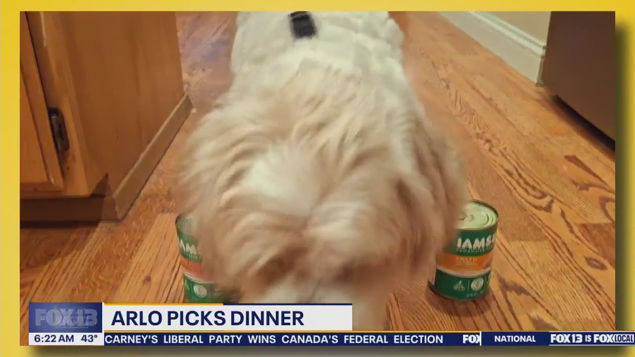 Pet Tricks for Wednesday, April 30