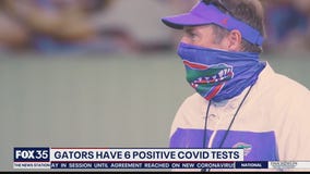 Gators report 6 COVID-19 cases on football team