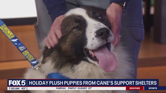 Raising Cane’s spreading holiday cheer to animal shelters