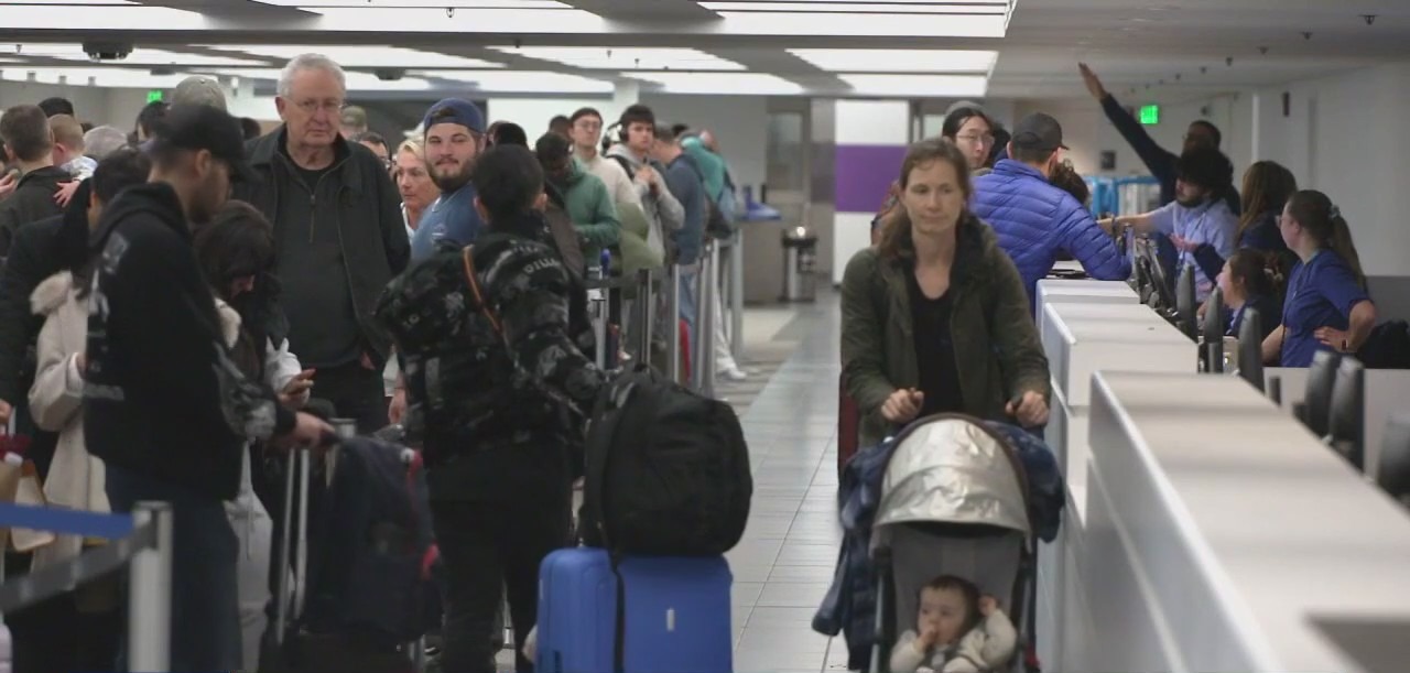 FAA investigation grounds over a hundred planes