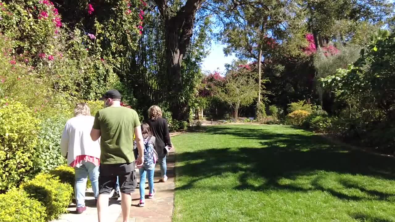 Explore the hidden wonders of St. Pete's Sunken Gardens