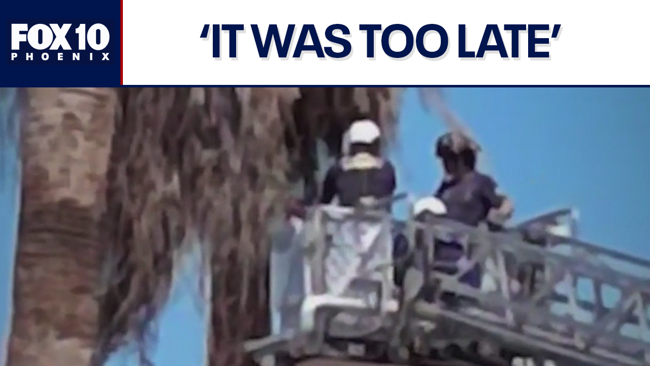 Tree trimmer dies from injuries after 50-foot rescue