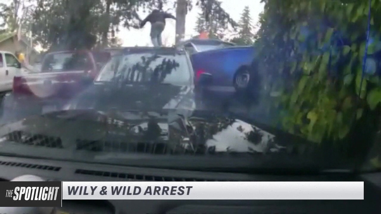 The Spotlight: Wily and wild arrest
