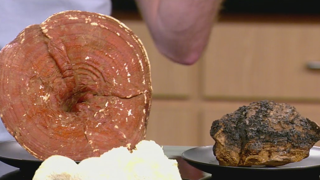 What are functional mushrooms?