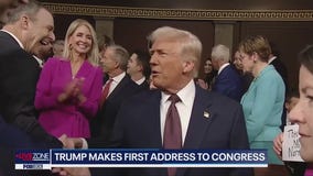 IRS to cut half of it's workforce, Tariffs take effect