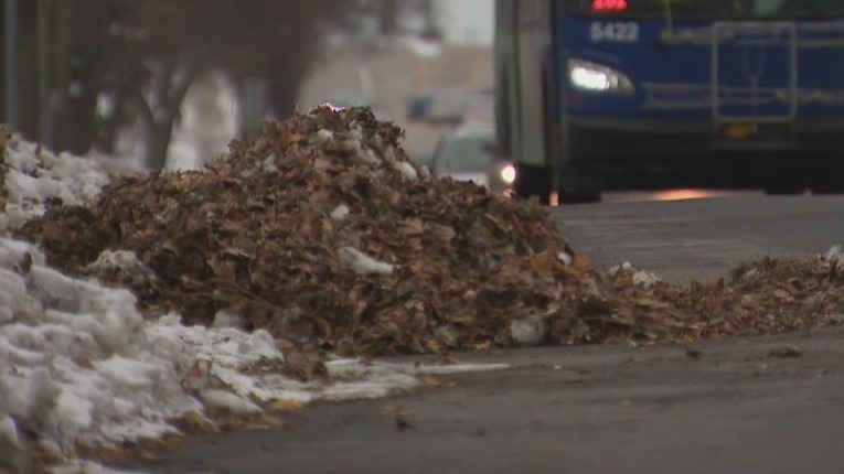 Milwaukee DPW resumes leaf collection