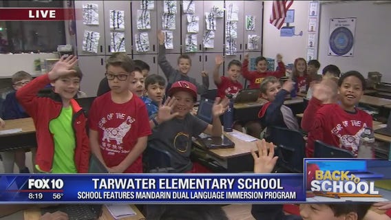 Back to school: Tarwater Elementary School