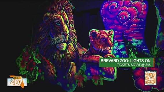Lights On at the Brevard Zoo