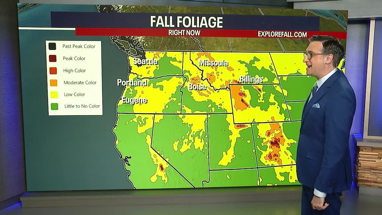 Friday will have morning clouds, afternoon sunshine