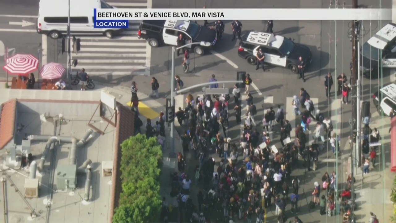 Venice HS students walkout to protest immigration policies