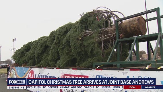 Capitol Christmas tree arrives at Joint Base Andrews