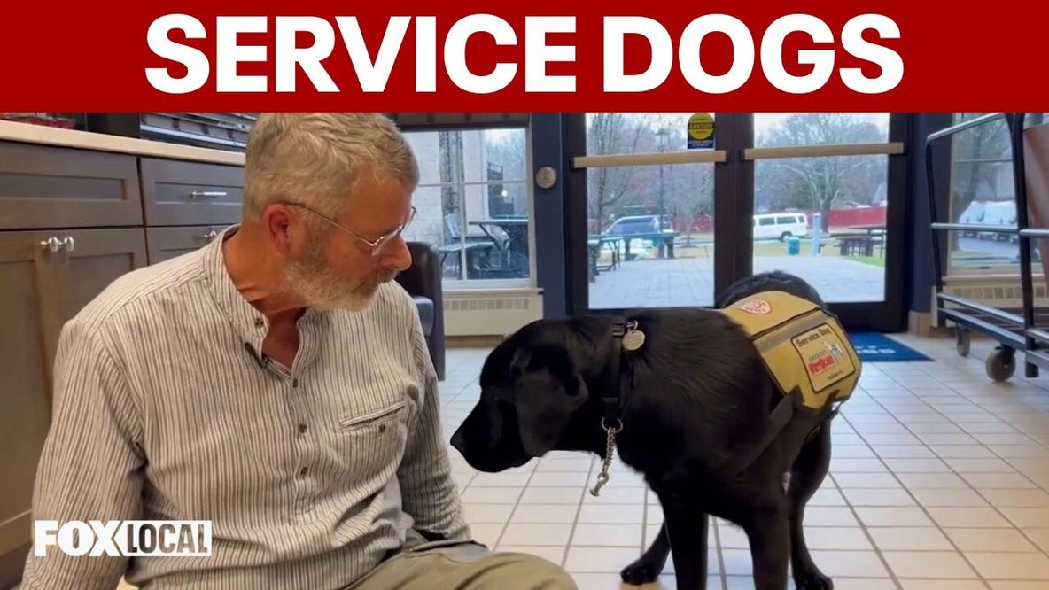 How service dogs are saving veterans and first responders | Good Day Weekend