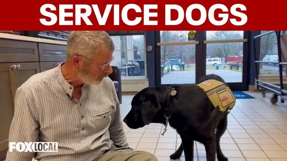 How service dogs are saving veterans and first responders | Good Day Weekend