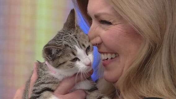 Meet Nash and Nandi: Our Pets of the Day