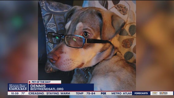 Pet of the Day from Best Friends Animal Society