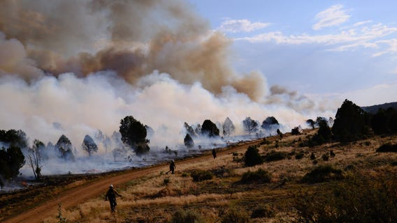 White Sage Fire continues to burn in N. Arizona