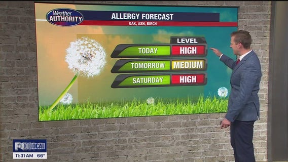 Another nice and sunny day with more clouds later