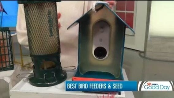 FOX 9 Good Day: March 26, 2025