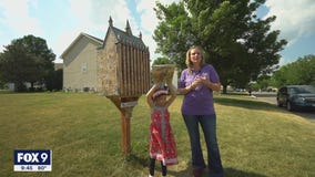 Woodbury woman puts up Hogwarts free book library to spread love of reading