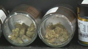 Cannabis shops run by MN cities being built