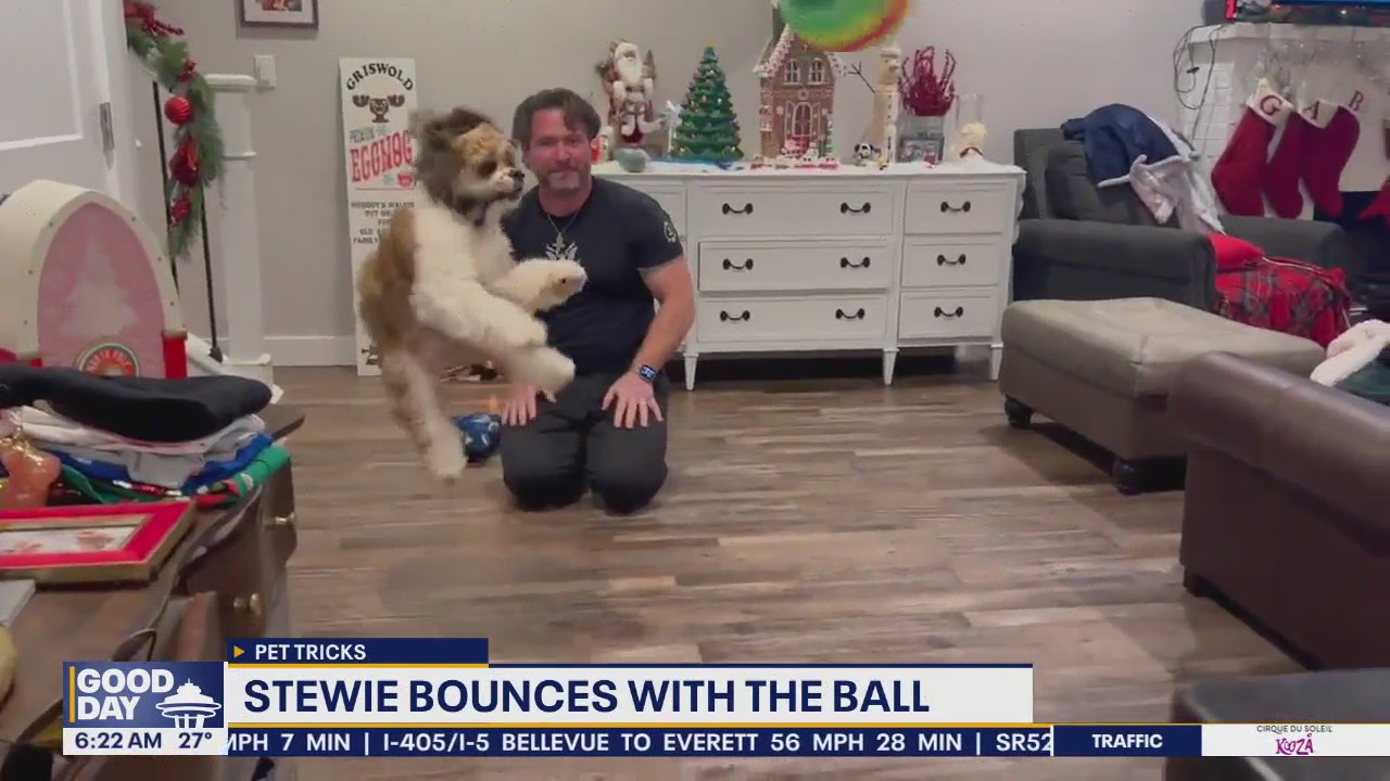 Pet Tricks for Tuesday, January 21