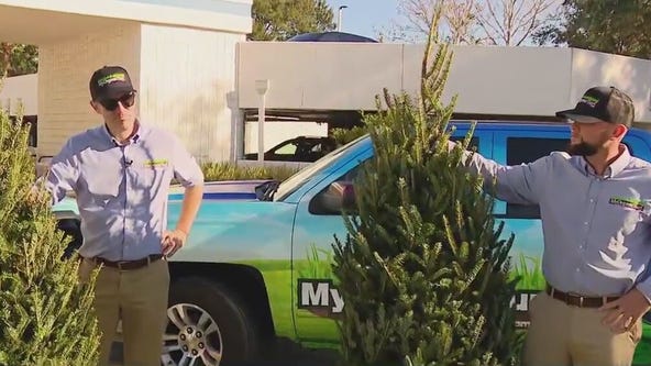 Hitchhikers in your Christmas