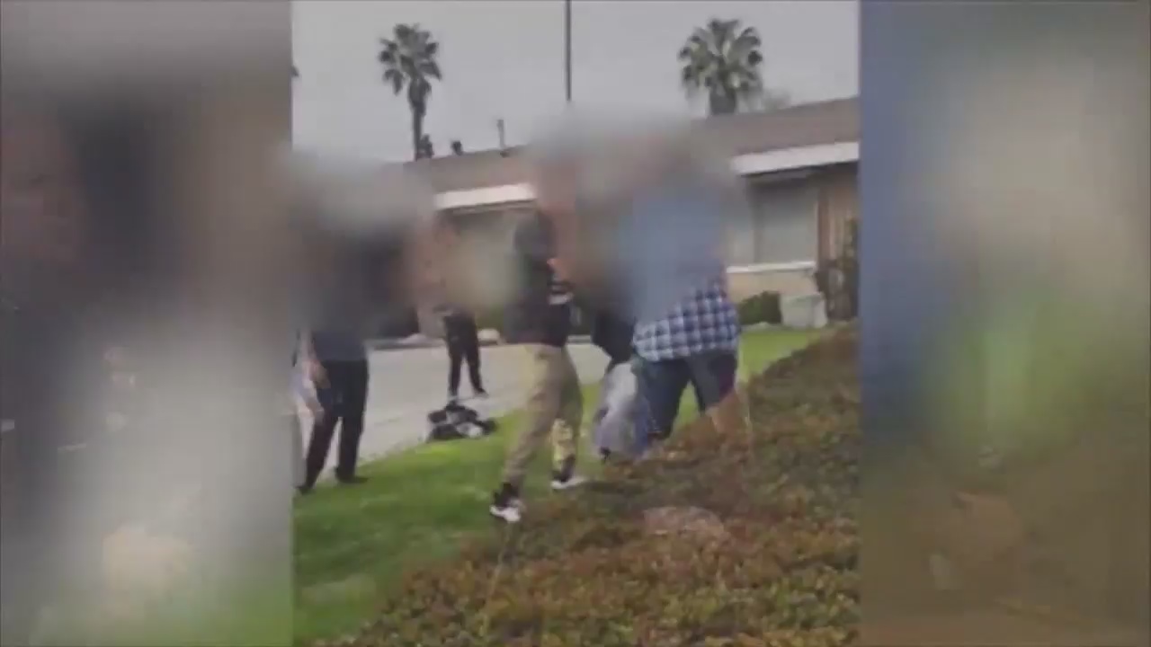 Police Address Controversial Viral Video