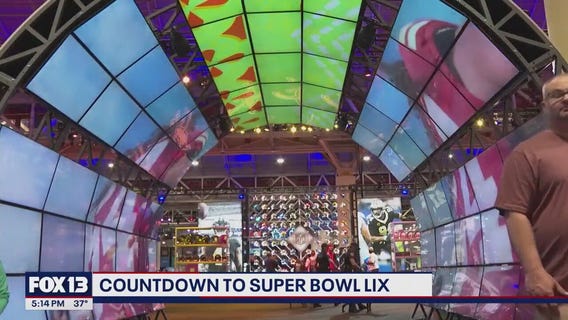 Countdown to Super Bowl LIX