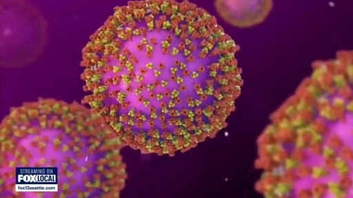 Flu, whooping cough cases hit record numbers