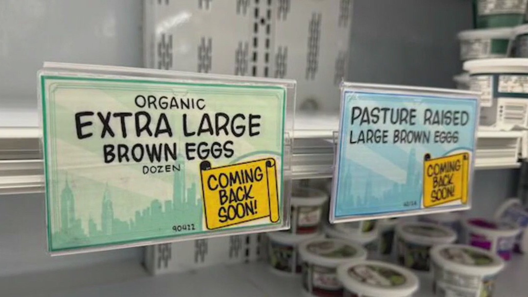 Stores putting limits on egg purchases