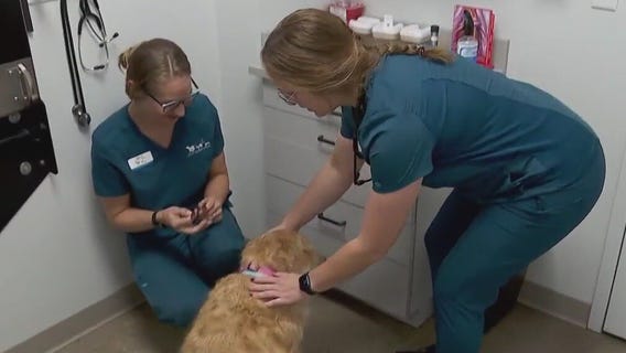 AHS program addresses vet tech shortage