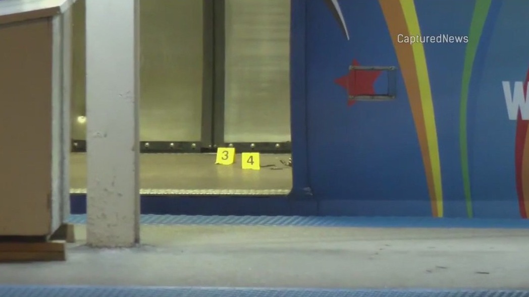 CTA Blue Line rider shot on Near West Side