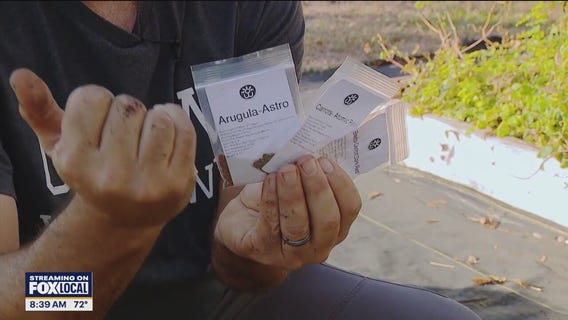 Understanding seed packet instructions