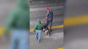 Rescuers save dog after police response questioned