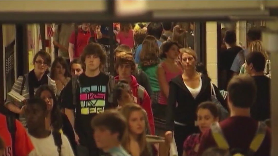 Educators, parents weigh merits of introducing therapy in schools