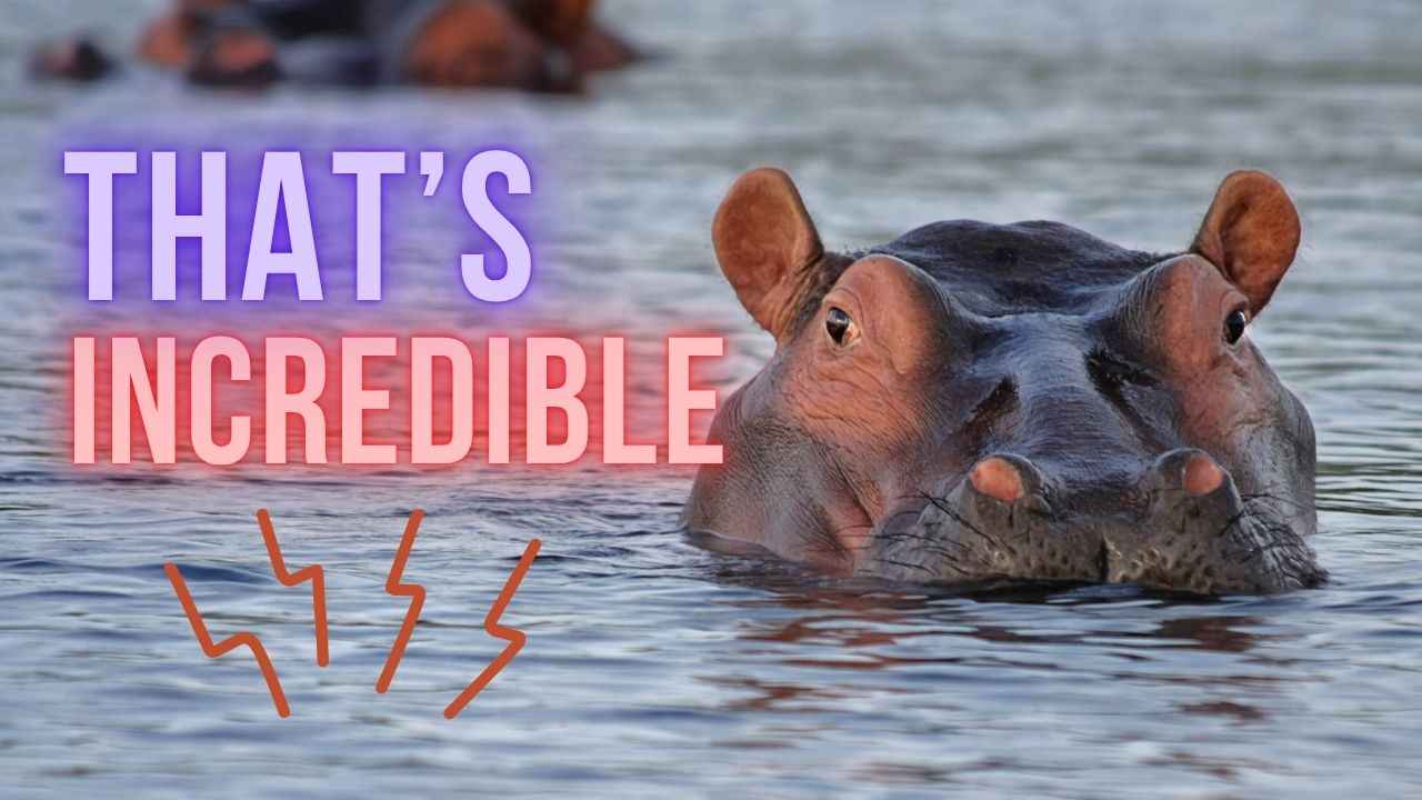 That?s Incredible: Naked Hideouts & Underwear Bandits