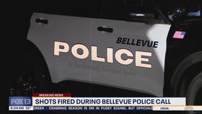 Shots fired during Bellevue police call