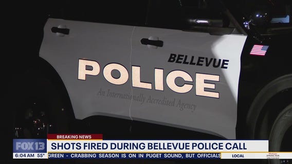 Shots fired during Bellevue police call