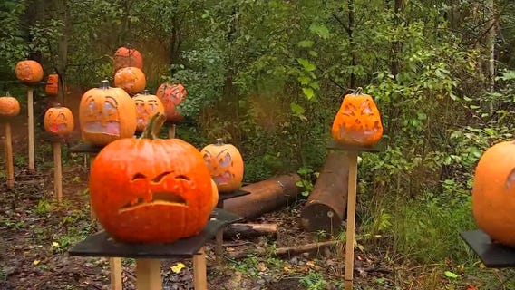 Kendall gets to know some creepy critters at the Minnesota Zoo