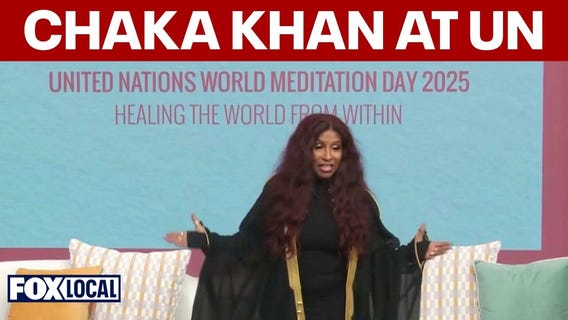 Chaka Khan addresses UN panel