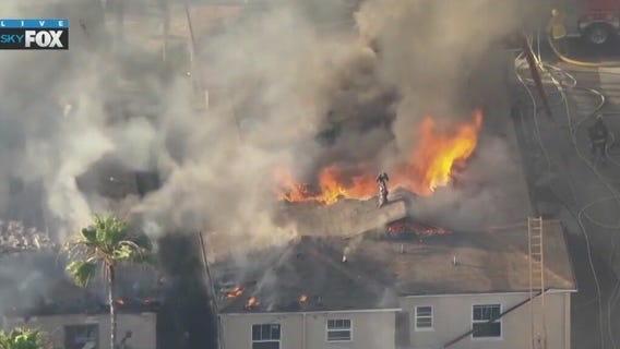 Fire destroys Hollywood apartment